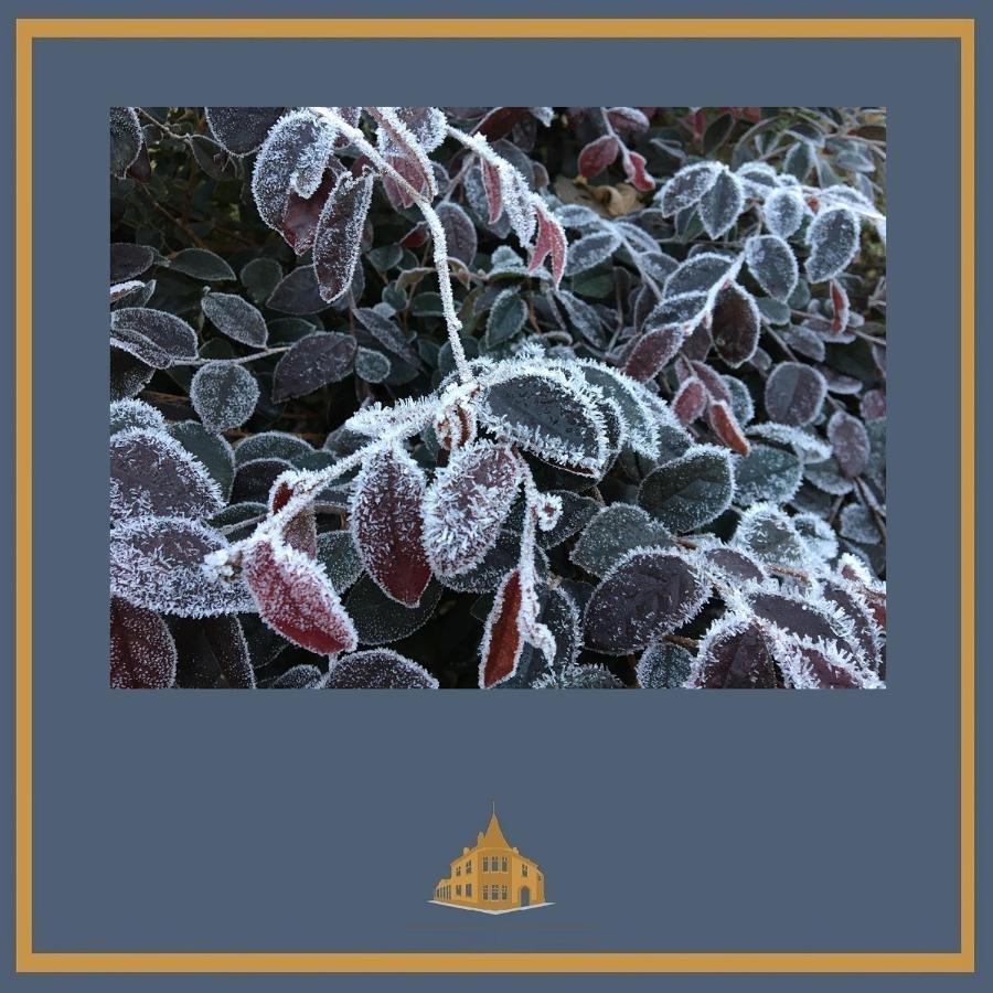 Little Redlands B&B Линкълн Екстериор снимка