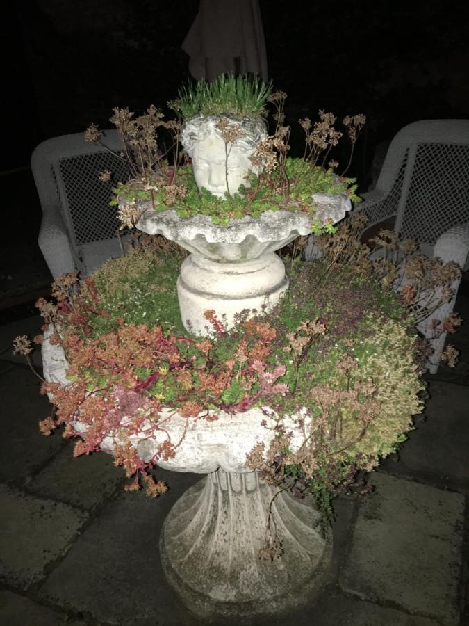 Little Redlands B&B Линкълн Екстериор снимка